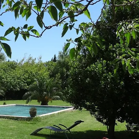 Bed & Breakfast Mas De Bouvet En Camargue *