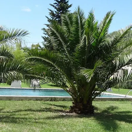 Bed & Breakfast Mas De Bouvet En Camargue *