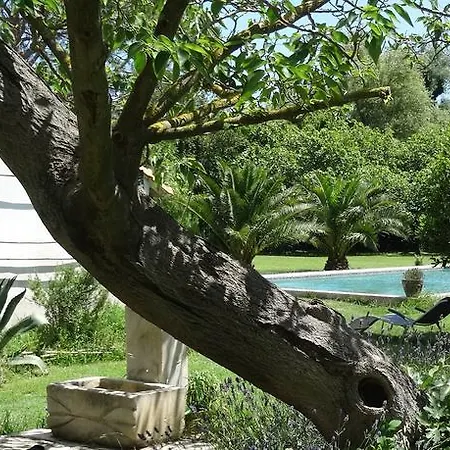 Mas De Bouvet En Camargue Bed & Breakfast *