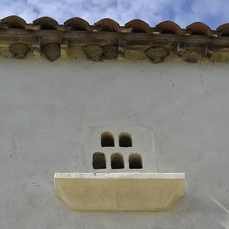 Bed & Breakfast Mas De Bouvet En Camargue